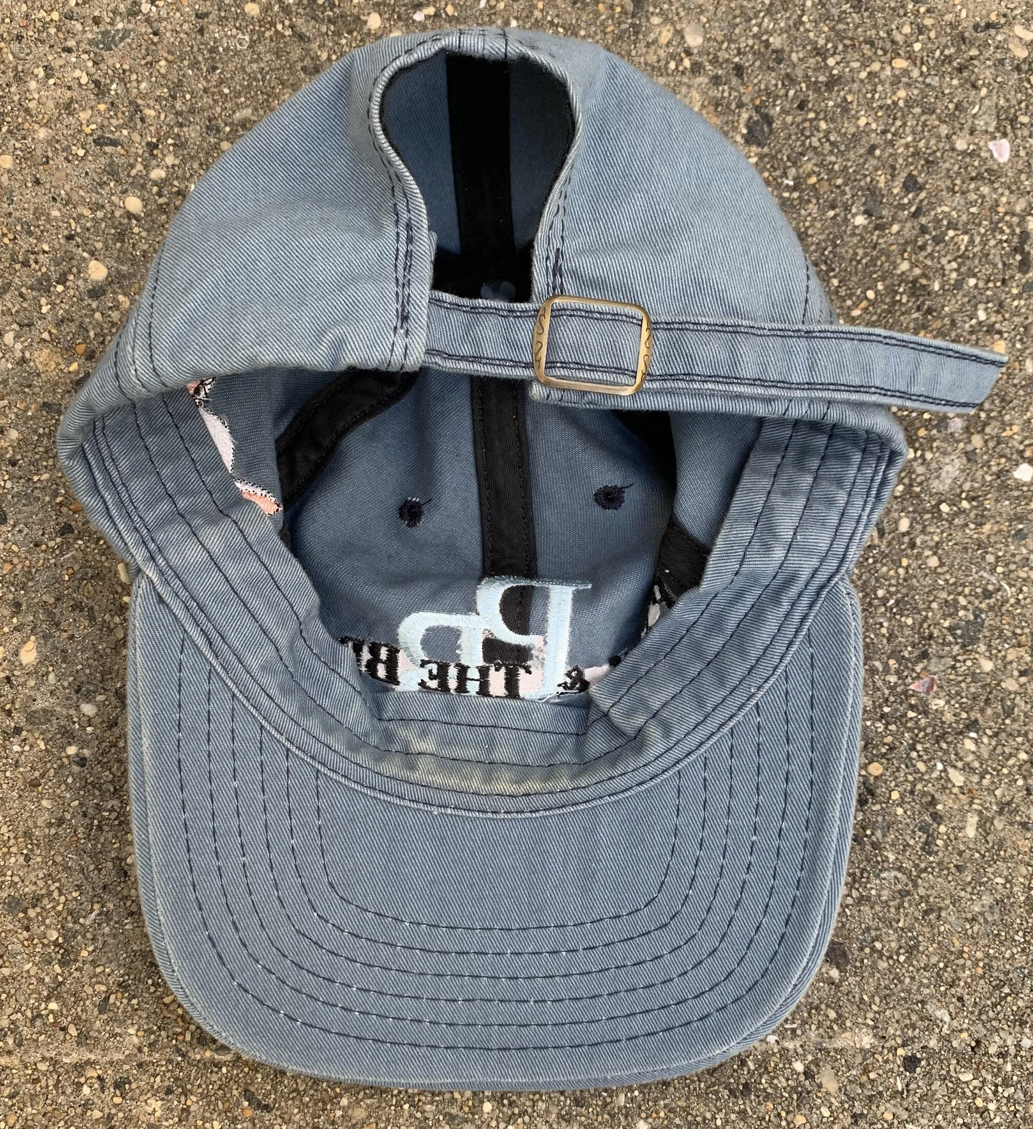Vintage Warner Bros Pinky & The Brain Domination Wear Hat